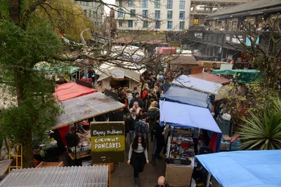 DSC_6103 (Large).JPG